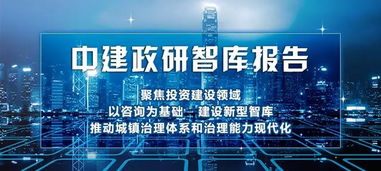 中建政研智庫報告 解讀財辦金〔2019〕40號文，防范PPP項目隱性債務風險的信息技術咨詢服務
